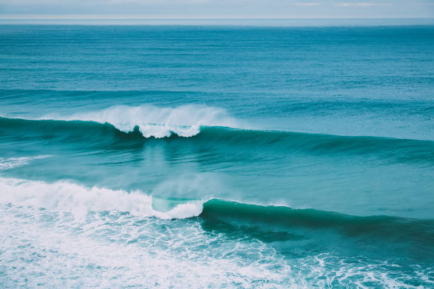 How to Read a Surf Forecast