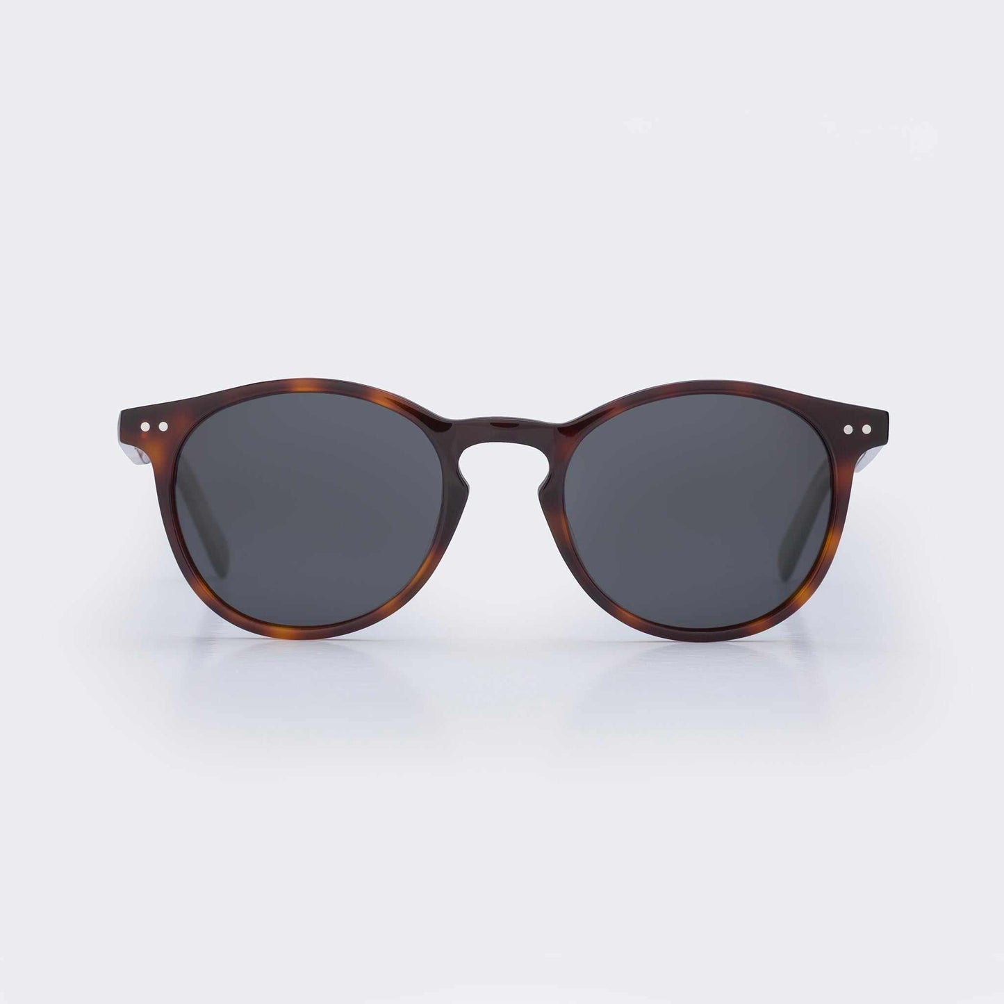 Pipeline - Tortoise Shell