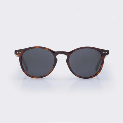 Pipeline - Tortoise Shell