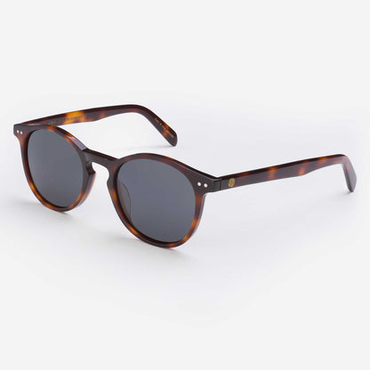 Pipeline - Tortoise Shell
