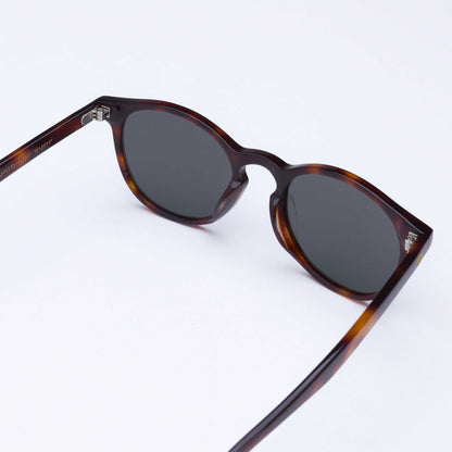 Pipeline - Tortoise Shell